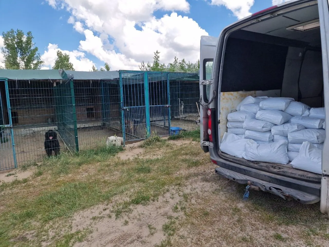 The shelter van, loaded with white bags of dog food, parked by the blue-fenced kennels with a dog in one of the pens